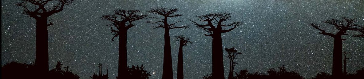 11-Day Wild Madagascar - Tsiribihina - Tsingy Expedition