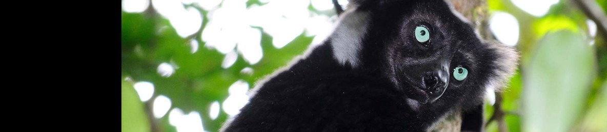 15-Day Madagascar Natural Discovery
