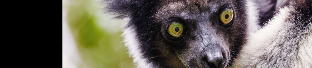 7-Day An Epic Journey into the Heart of Wild Madagascar