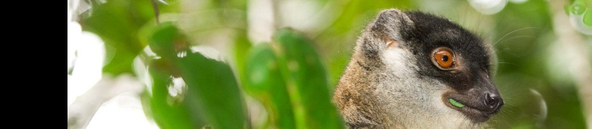 12-Day Madagascar Ultimate Discovery