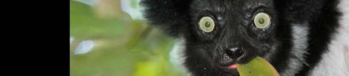 11-Day A Family Adventure in Madagascar