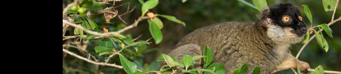 4-Day Culinary Tour in Madagascar