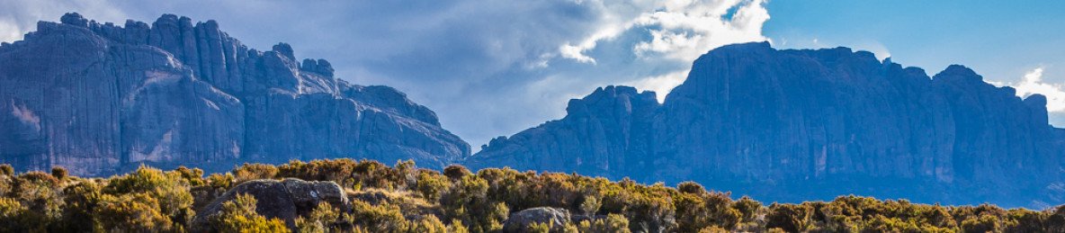 15-Day Best of Wildlife of Madagascar