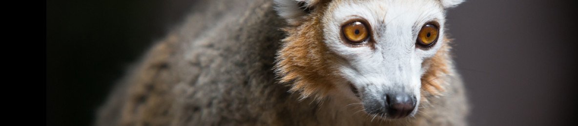 7-Day Big North - Spectacular Tour of Madagascar