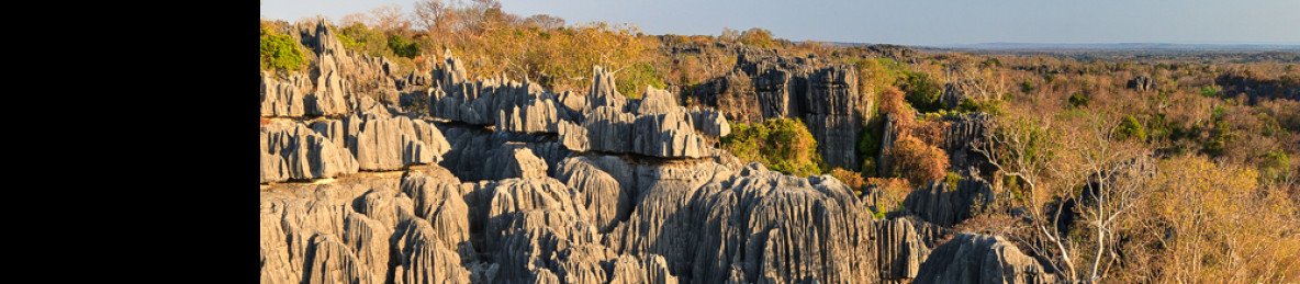 16-Day Best of Madagascar