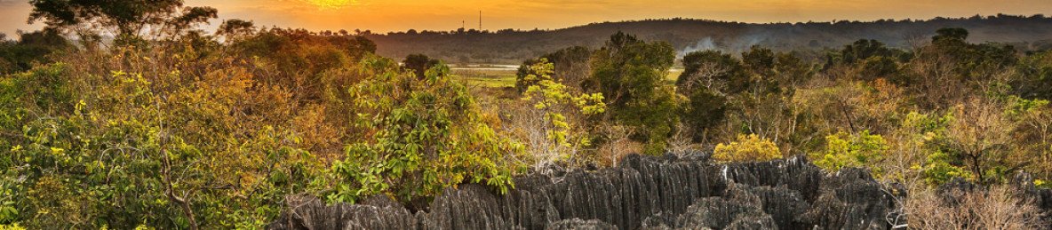 13-Day Tsingy De Bemaraha - Baobab Alley - Nosy Be