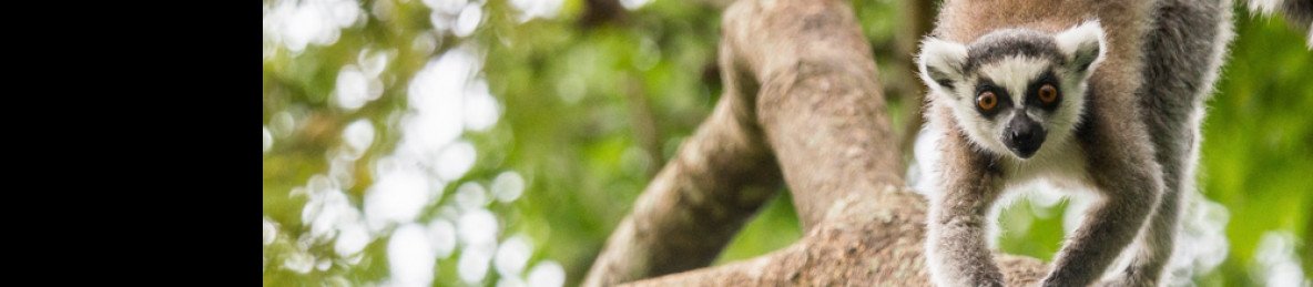 17-Day Madagascar Discovery Tour