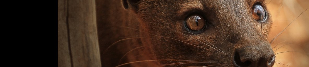 17-Day Tailored Madagascar & Seychelles Discovery