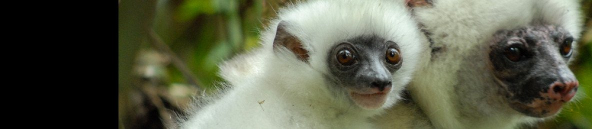 14-Day Remote Madagascar
