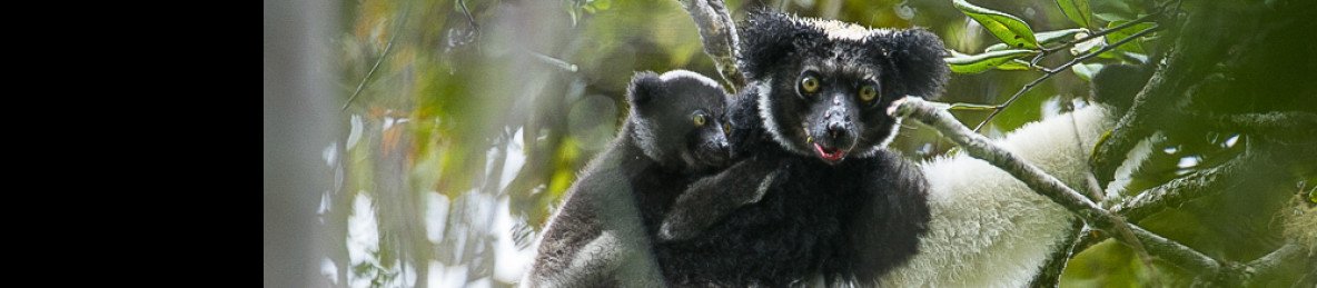 11-Day Rain Forests to Canyons Tour