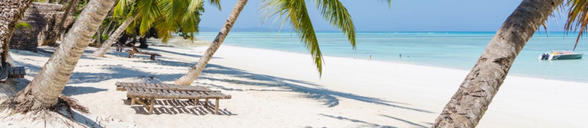 5-Day Beach and Sea Turtule Expedition