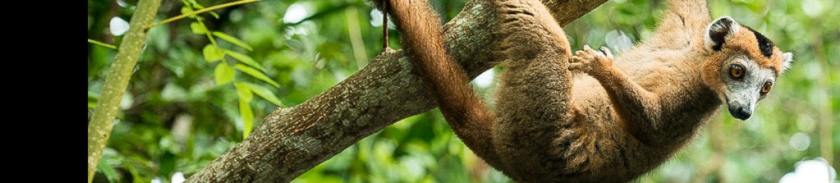 14-Day The Most Fancy Side of Madagascar