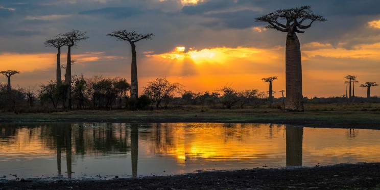 8-Day Highlands to Baobabs