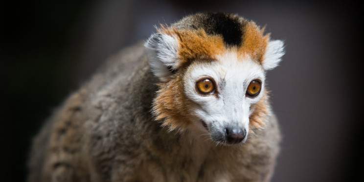 7-Day Big North - Spectacular Tour of Madagascar