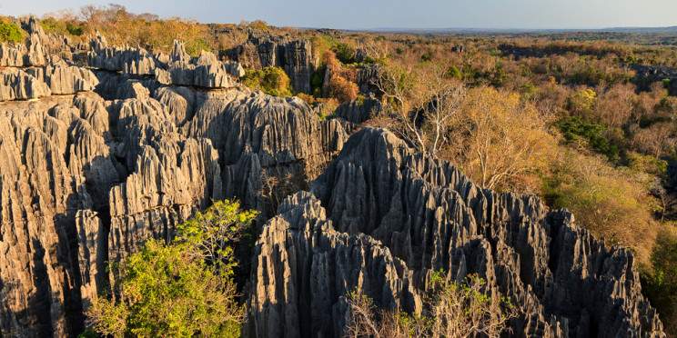 16-Day Best of Madagascar