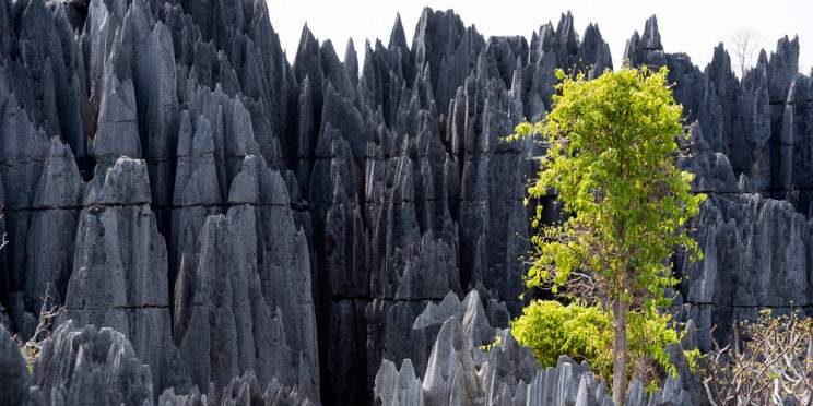 15-Day Masoala Peninsula & Tsingy Adventure Safari