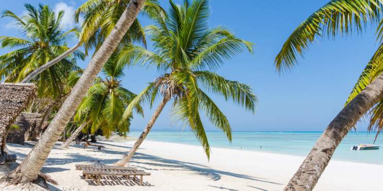 5-Day Beach and Sea Turtule Expedition