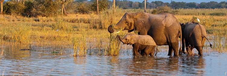 Liwonde National Park