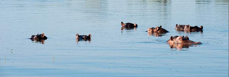 Cape Maclear to Liwonde National Park
