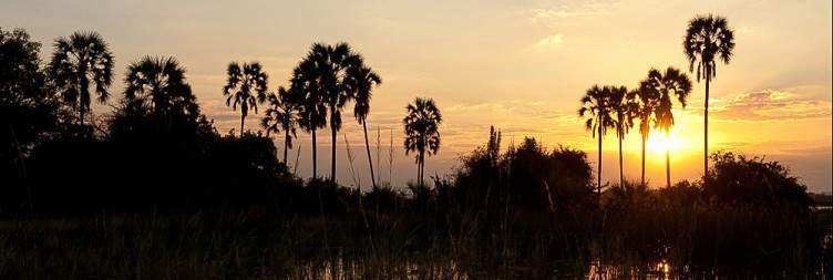 Liwonde National Park
