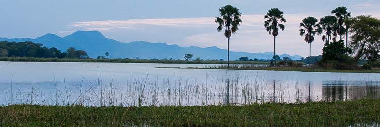 Liwonde National Park | Kutchire Lodge