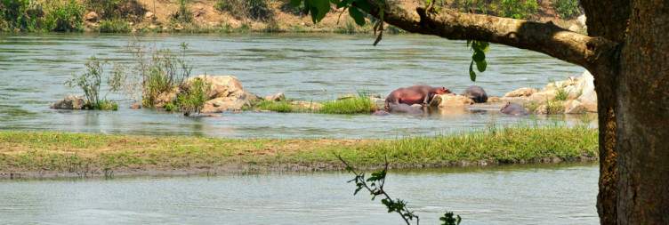 Travel to Majete Wildlife Reserve