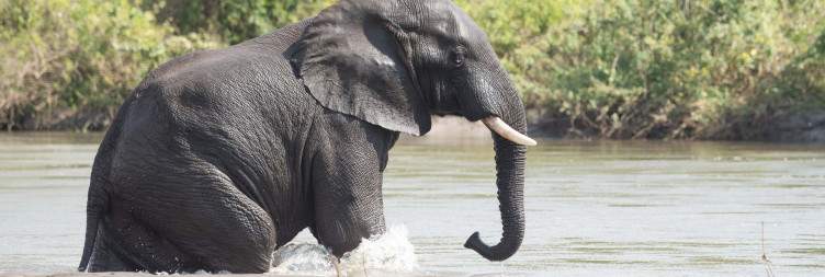 Arrival to Majete Wildlife Reserve