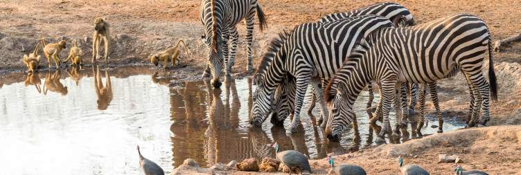Majete Wildlife Reserve
