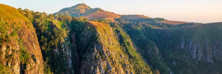 From River Plains to a Forest Sanctuary