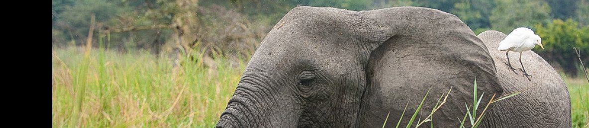 4-Day Liwonde National Park and Lake Malawi
