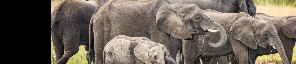12-Day The Wild Heart of Malawi