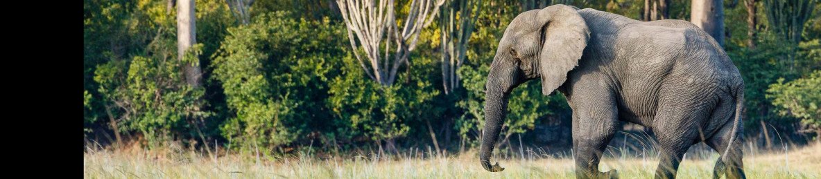 11-Day Highlights of Malawi