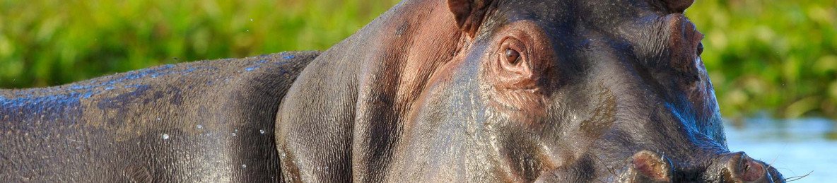 8-Day Malawi Adventure Group Tour