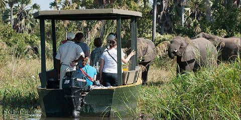 Budget camping Bordering Liwonde NP without fences – Day 1: Dinner Included – Day 2: Breakfast & Dinner Included