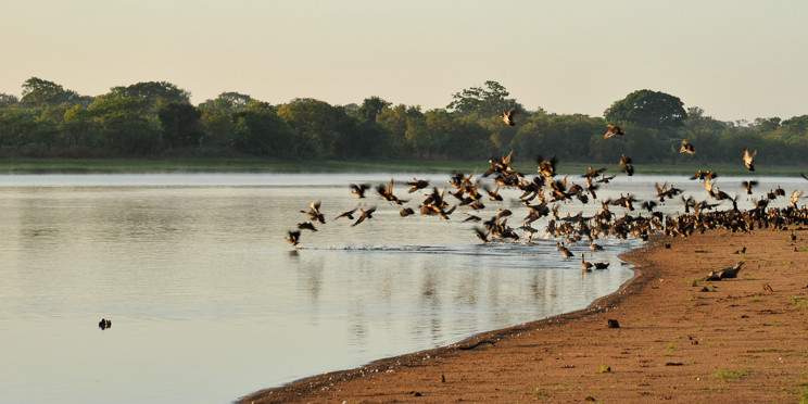 6-Day Discovering the Wonders of Lake Malawi