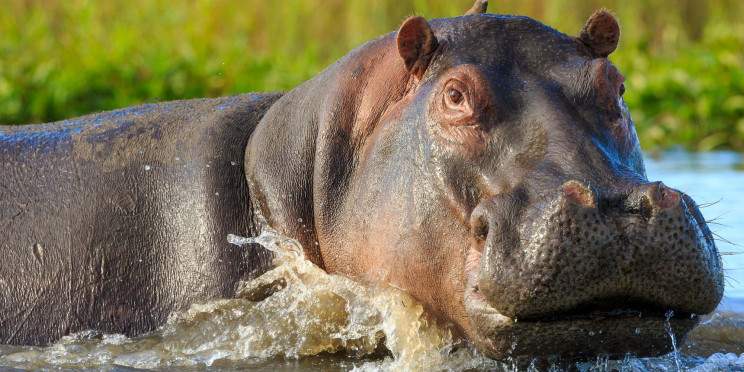 8-Day Malawi Adventure Group Tour