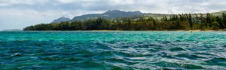 7-Day Luxury, Whale Watching & Swimning with Dolphins