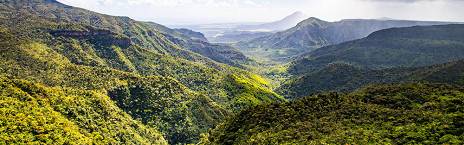 7-Day Mauritius Whale Watching & Swimming with Dolphins