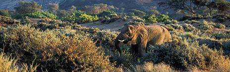 10-Day Discover Namibia Small Group Safari