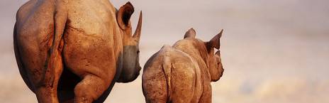 12-Day Namibia Classic Accommodated Safari