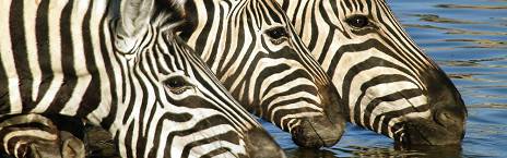 8-Day Namibia Highlights Self-Drive Tour