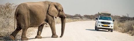 6-Day Dunes & Wildlife Lodge Safari