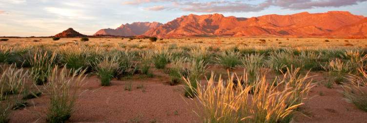 Mountain Majesty – Discovering Brandberg