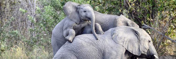 Bwabwata National Park