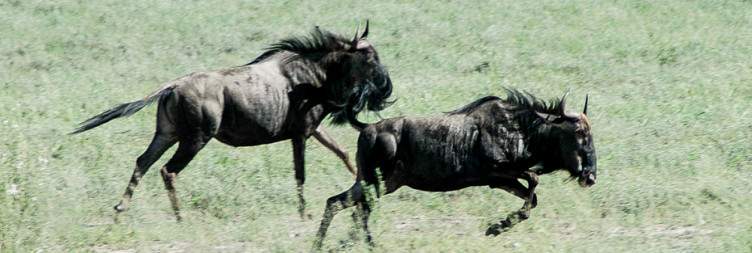 Bwabwata National Park
