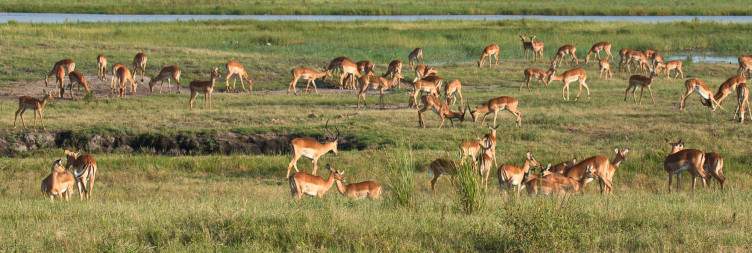 Rundu - Kongola / Bwabwata National Park