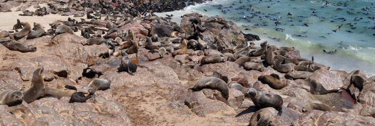 Swakopmund