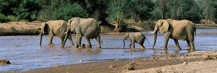 Drive to Etosha National Park