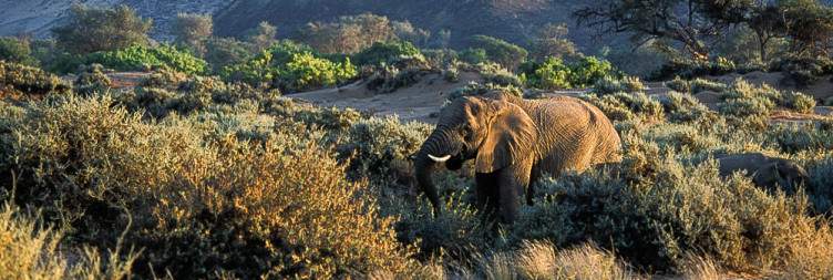 10-Day Discover Namibia Small Group Safari