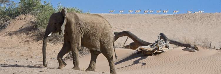 Transfer from Etosha to Damaraland